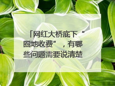 网红大桥底下“圈地收费”，有哪些问题需要说清楚｜新京报快评