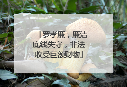 罗孝廉，廉洁底线失守，非法收受巨额财物