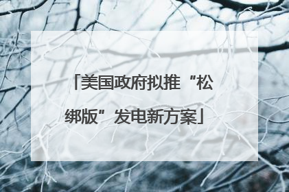 美国政府拟推“松绑版”发电新方案