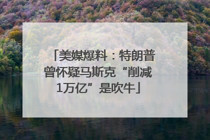 美媒爆料：特朗普曾怀疑马斯克“削减1万亿”是吹牛