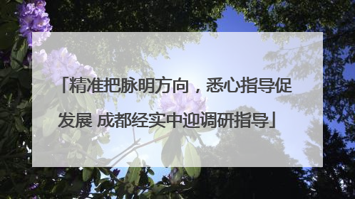 精准把脉明方向，悉心指导促发展 成都经实中迎调研指导