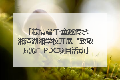 粽情端午·童趣传承 湘潭湖湘学校开展“致敬屈原”PDC项目活动
