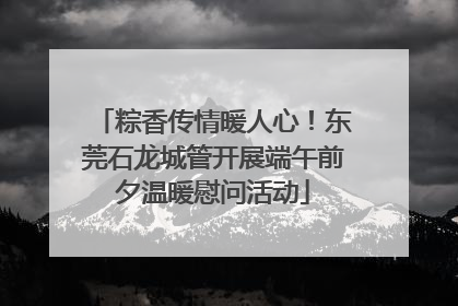 粽香传情暖人心！东莞石龙城管开展端午前夕温暖慰问活动