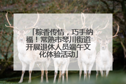 粽香传情,巧手纳福!常熟市琴川街道开展退休人员端午文化体验活动