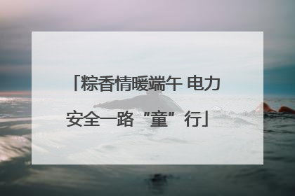 粽香情暖端午 电力安全一路“童”行