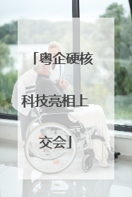 粤企硬核科技亮相上交会