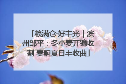 粮满仓·好丰光｜滨州邹平：冬小麦开镰收割 奏响夏日丰收曲