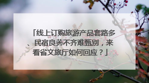 线上订购旅游产品套路多、民宿良莠不齐难甄别，来看省文旅厅如何回应？