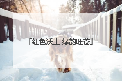 红色沃土 绿韵旺苍