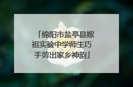 绵阳市盐亭县嫘祖实验中学师生巧手剪出家乡神韵