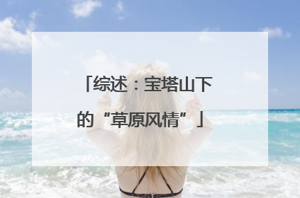 综述：宝塔山下的“草原风情”