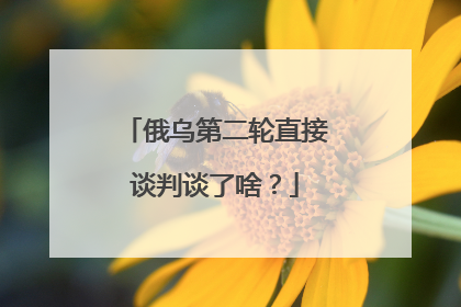 俄乌第二轮直接谈判谈了啥？