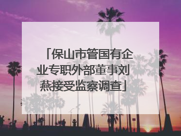 保山市管国有企业专职外部董事刘燕接受监察调查