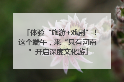 体验“旅游+戏剧”！这个端午，来“只有河南”开启深度文化游