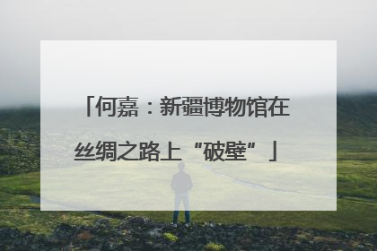 何嘉：新疆博物馆在丝绸之路上“破壁”