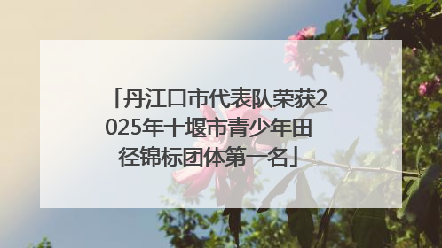 丹江口市代表队荣获2025年十堰市青少年田径锦标团体第一名