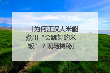 为何江汉大米能煮出“会跳舞的米饭”？现场揭秘