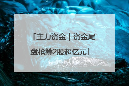 主力资金｜资金尾盘抢筹2股超亿元