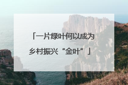 一片绿叶何以成为乡村振兴“金叶”