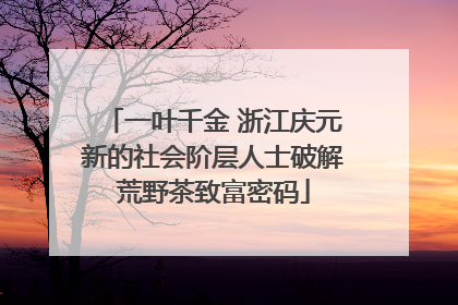一叶千金 浙江庆元新的社会阶层人士破解荒野茶致富密码