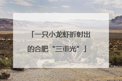 一只小龙虾折射出的合肥“三重光”