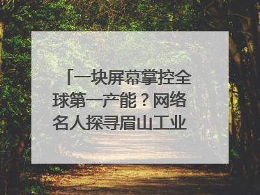 一块屏幕掌控全球第一产能？网络名人探寻眉山工业高质量发展密码｜网络名人四川行