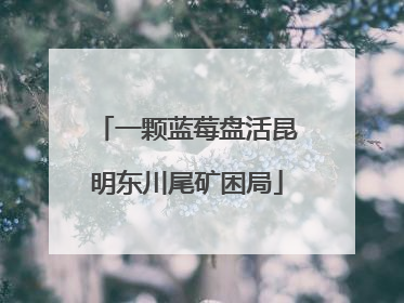 一颗蓝莓盘活昆明东川尾矿困局