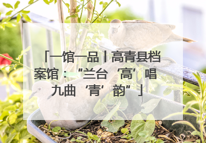 一馆一品丨高青县档案馆：“兰台‘高’唱 九曲‘青’韵”