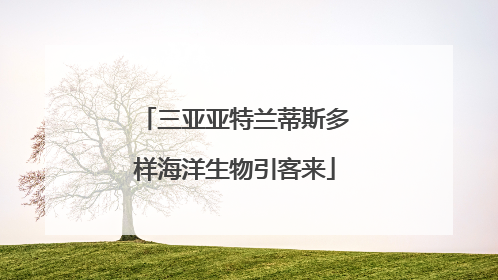 三亚亚特兰蒂斯多样海洋生物引客来