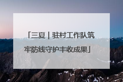 三夏｜驻村工作队筑牢防线守护丰收成果