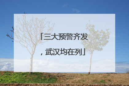 三大预警齐发，武汉均在列