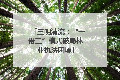 三明清流：“一带三”模式破局林业执法困境