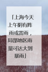 上海今天上午阴有阵雨或雷雨，局部地区雨量可达大到暴雨