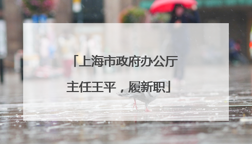 上海市政府办公厅主任王平，履新职