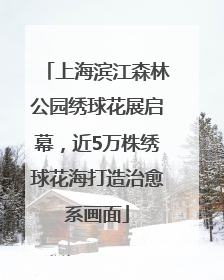 上海滨江森林公园绣球花展启幕，近5万株绣球花海打造治愈系画面