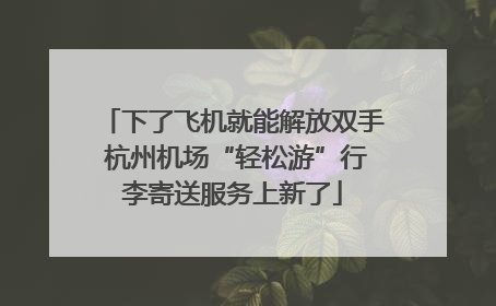 下了飞机就能解放双手 杭州机场“轻松游”行李寄送服务上新了