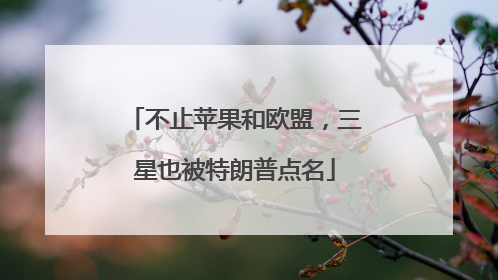 不止苹果和欧盟，三星也被特朗普点名
