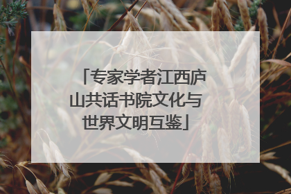 专家学者江西庐山共话书院文化与世界文明互鉴