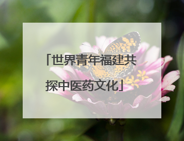 世界青年福建共探中医药文化