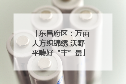 东昌府区：万亩大方织锦绣 沃野平畴好“丰”景