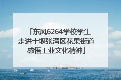 东风6264学校学生走进十堰张湾区花果街道感悟工业文化精神