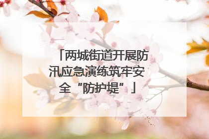 两城街道开展防汛应急演练筑牢安全“防护堤”