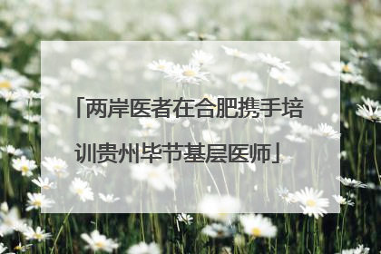 两岸医者在合肥携手培训贵州毕节基层医师
