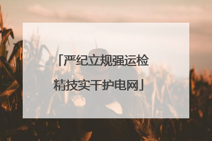 严纪立规强运检 精技实干护电网