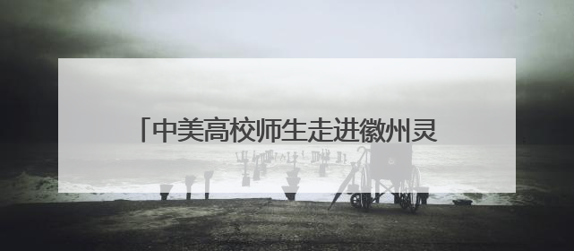 中美高校师生走进徽州灵山 感知中华文脉基底