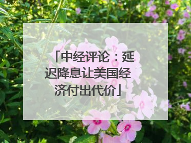 中经评论：延迟降息让美国经济付出代价