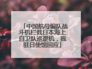 中国航母编队战斗机拦截日本海上自卫队巡逻机，我驻日使馆回应