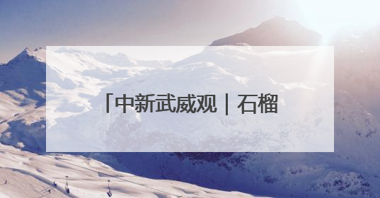 中新武威观｜石榴同心 筑梦凉州