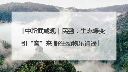 中新武威观｜民勤：生态蝶变引“客”来 野生动物乐逍遥