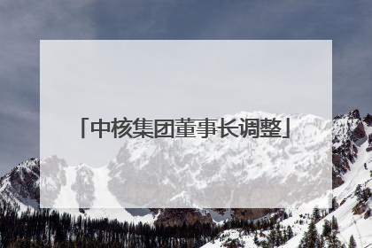 中核集团董事长调整